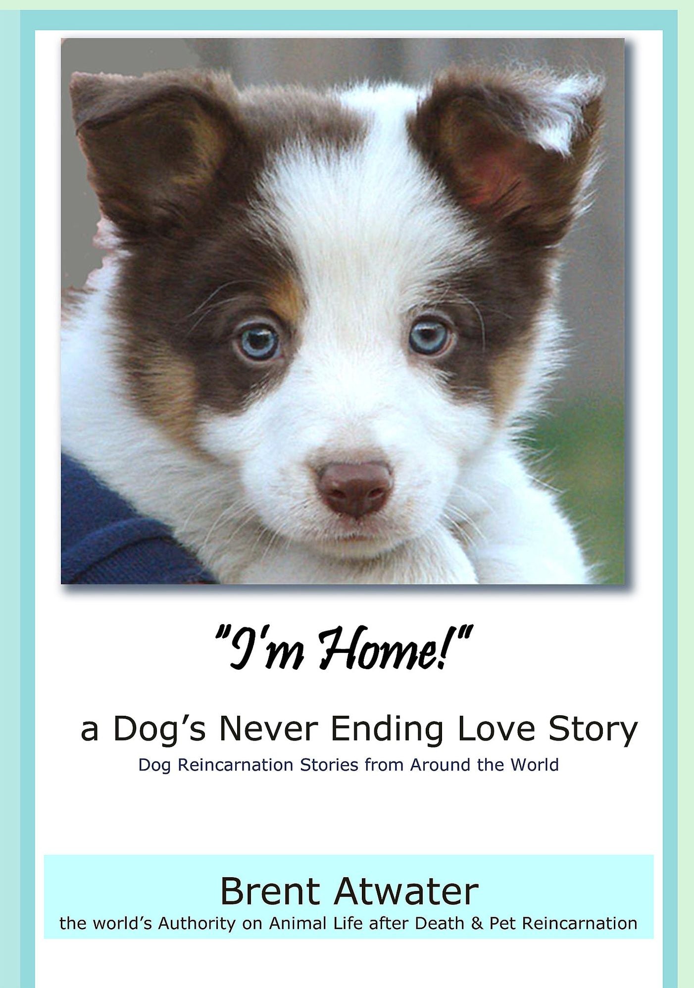 "I'm Home!" a Dog's Never Ending Love Story: Dogs Stories of Reincarnation: Animals Afterlife, Animal Communication & Animals Spirits, Pet Loss, Rainbow Bridge