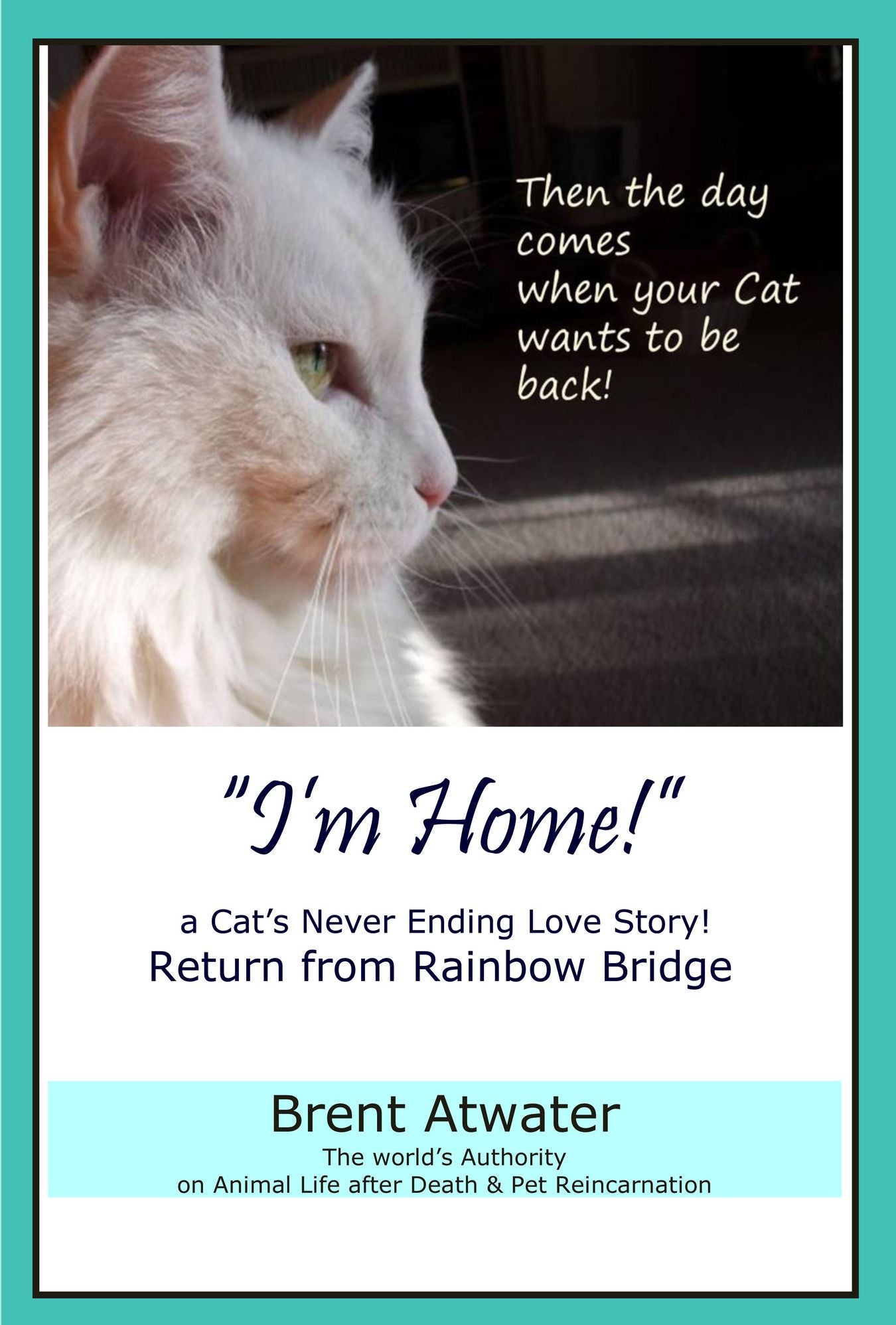 "I'm Home!" a Cat's Never Ending Love Story: Cat Reincarnation Stories- Animal Communication, Animals Life after Death, Afterlife, Pet Loss, cats, kittens