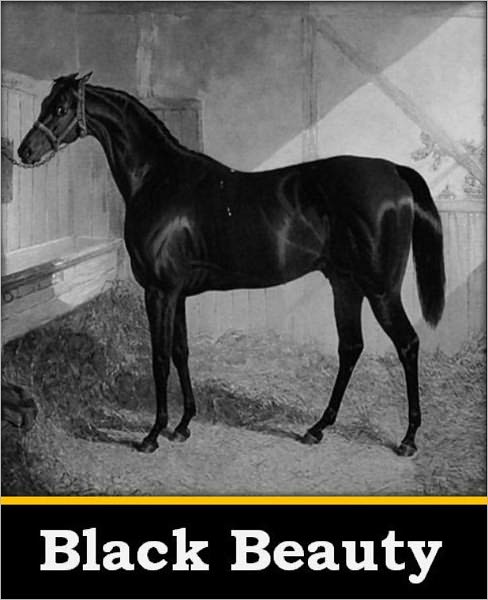 Black Beauty