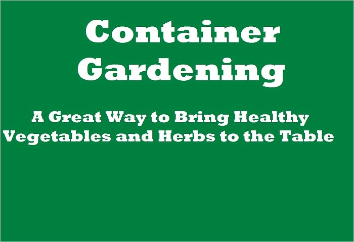 Container Gardening: A Great Way to Bring Healthy Vegetables and Herbs to the Table