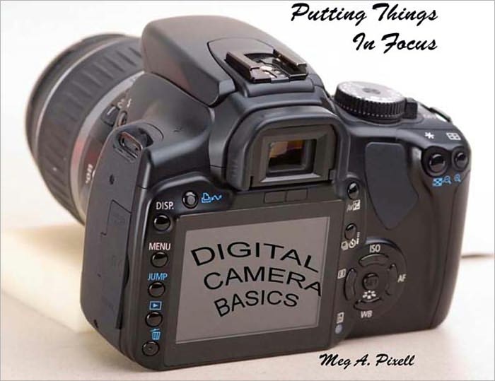 Putting Things In Focus-Digital Camera Basics