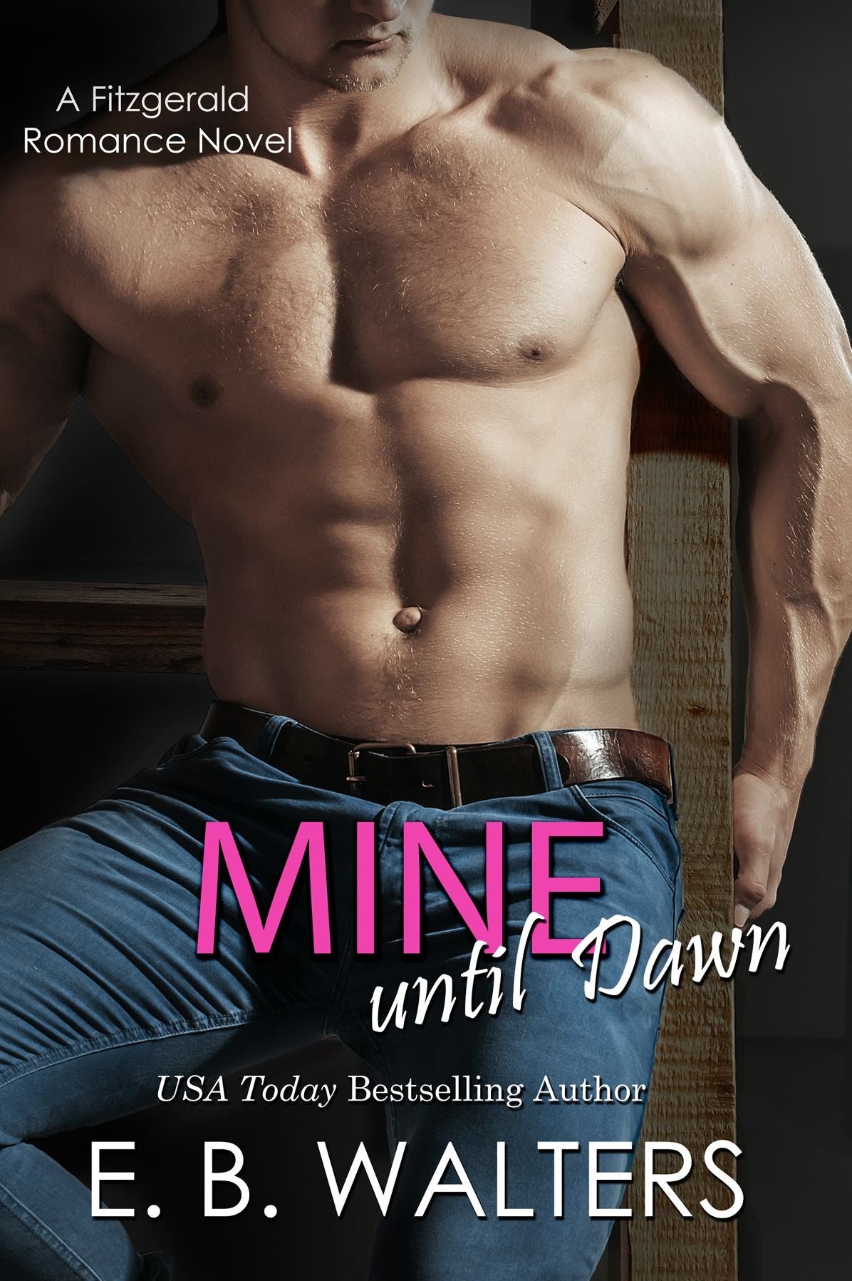 Mine Until Dawn (book # 2 of the Fitzgerald Family)