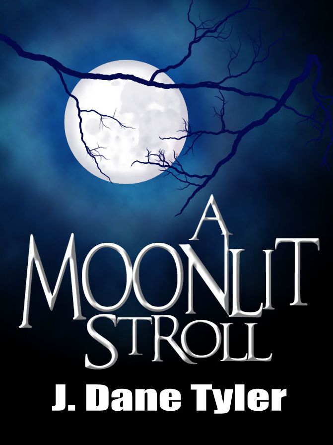A Moonlit Stroll