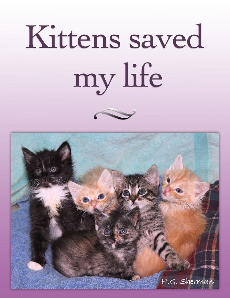Kittens Saved My Life