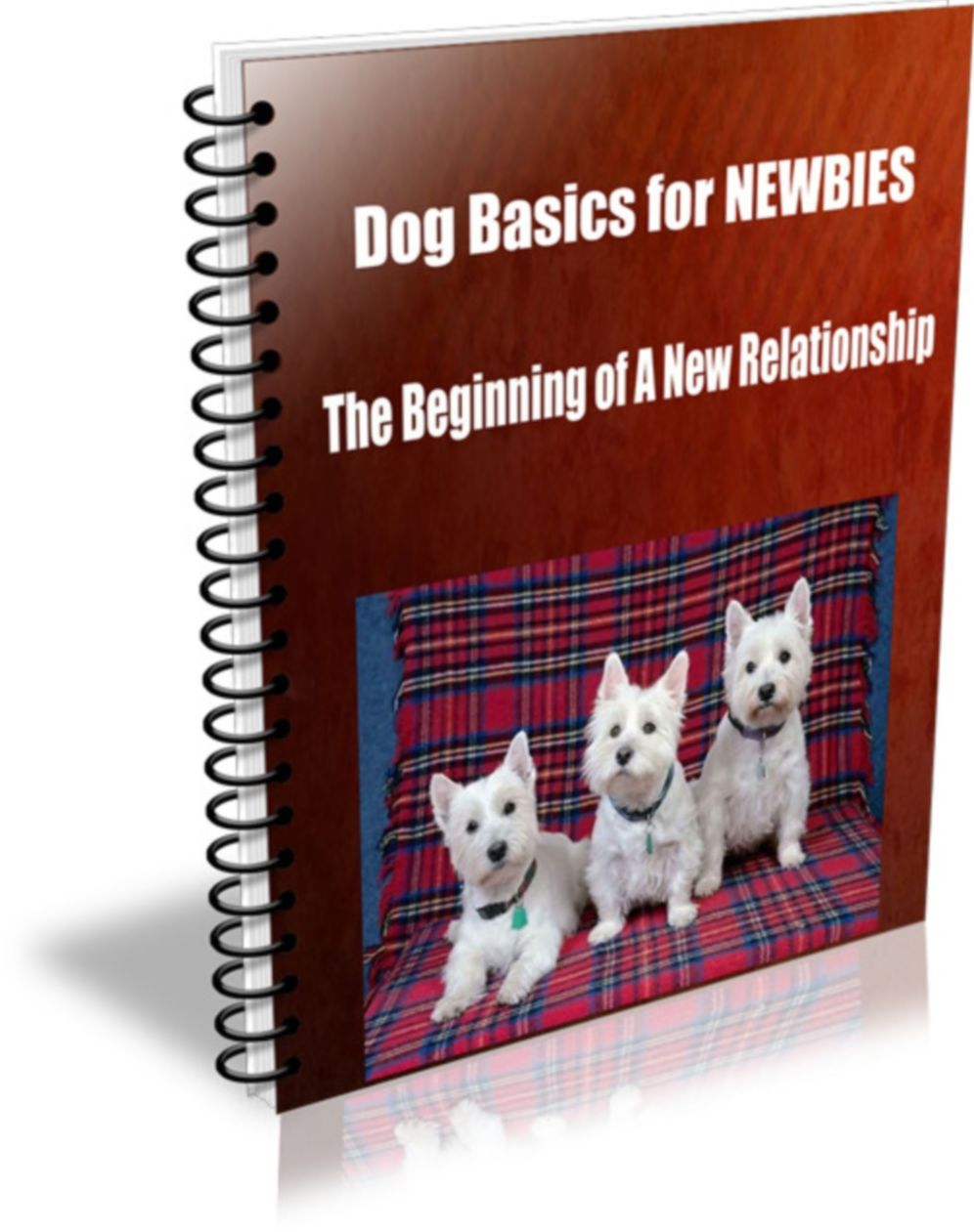 Dog Basics for NEWBIES-The Beginning of A New Relationship