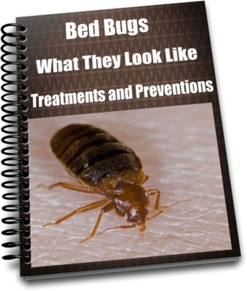 Bed Bugs-What They Look Like-Treatments and Preventions