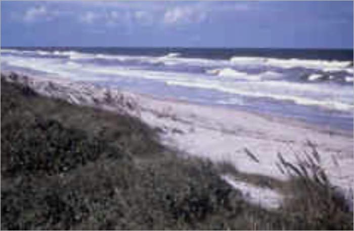 Sea and Shore-A Sequel to "Miriam's Memoirs"