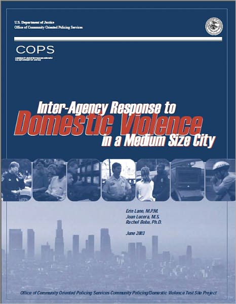 Inter-Agency Response to Domestic Violence in a Medium Sized City