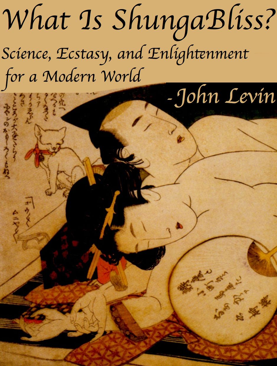 What Is ShungaBliss? Science, Ecstasy, and Enlightenment for a Modern World