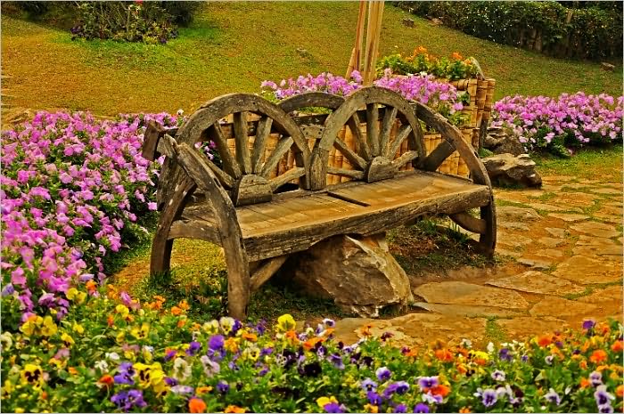 The Amateur Garden [Illustrated]