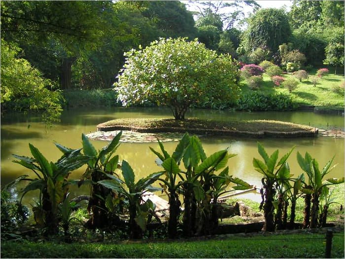 The Garden, You, and I [Illustrated]