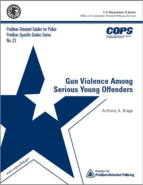 Gun Violence Among Serious Young Offenders