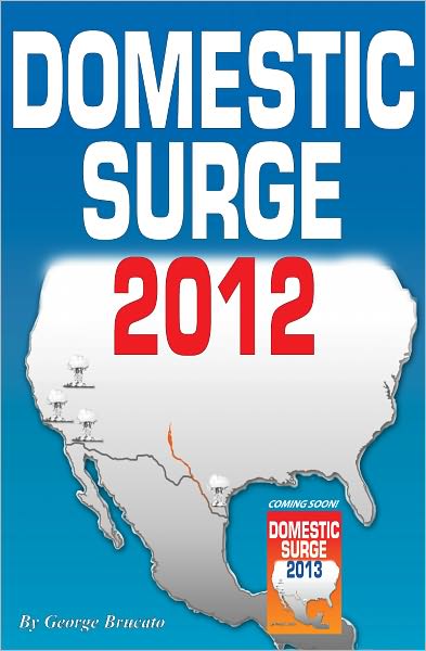 DOMESTIC SURGE 2012