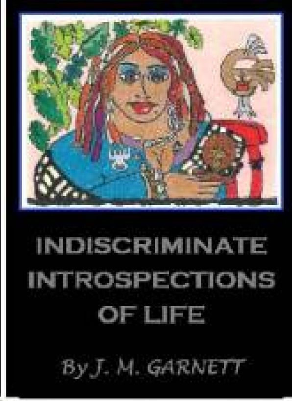 Indiscriminate Introspections