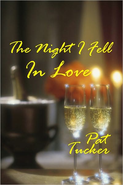 The Night I Fell In Love