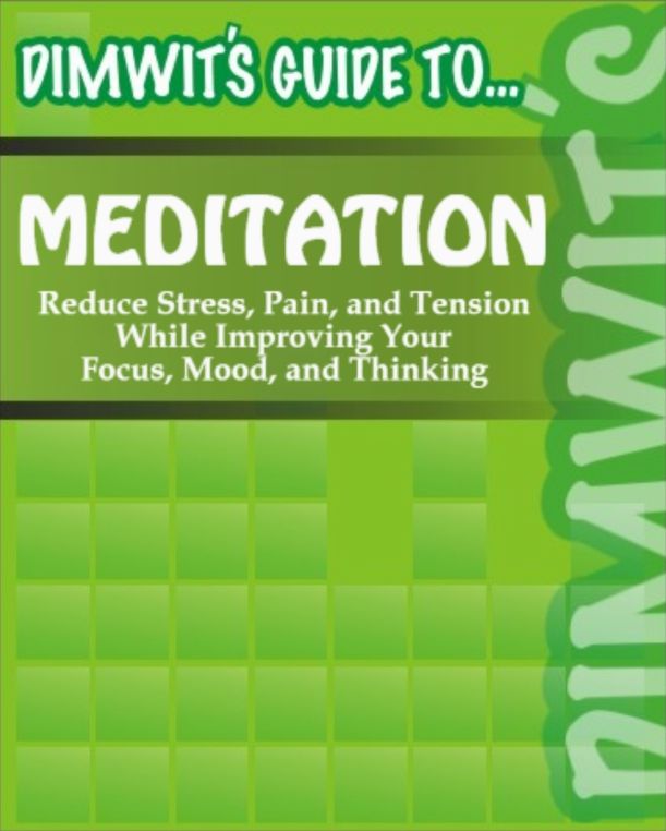 Dimwit's Guide to Meditation: Reduce Stress, Pain, and Tension While Improving Your Focus, Mood, and Thinking