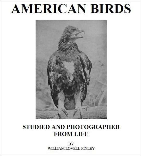 American Birds [Illustrated]