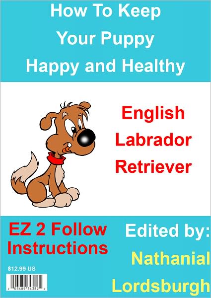 How To Keep Your English Labrador Retriever Happy and Healthy