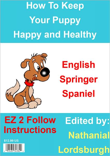 How To Keep Your English Springer Spaniel Happy and Healthy