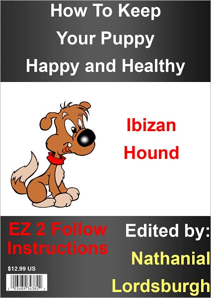 How To Keep Your Ibizan Hound Happy and Healthy