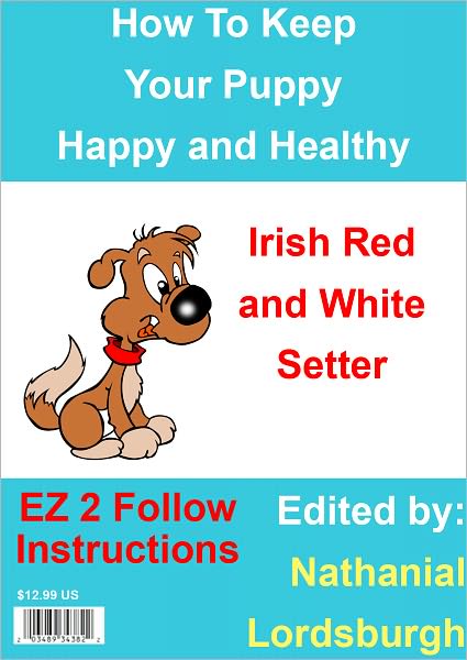 How To Keep Your Irish Red and White Setter Happy and Healthy