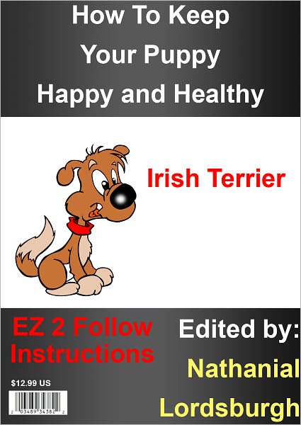 How To Keep Your Irish Terrier Happy and Healthy