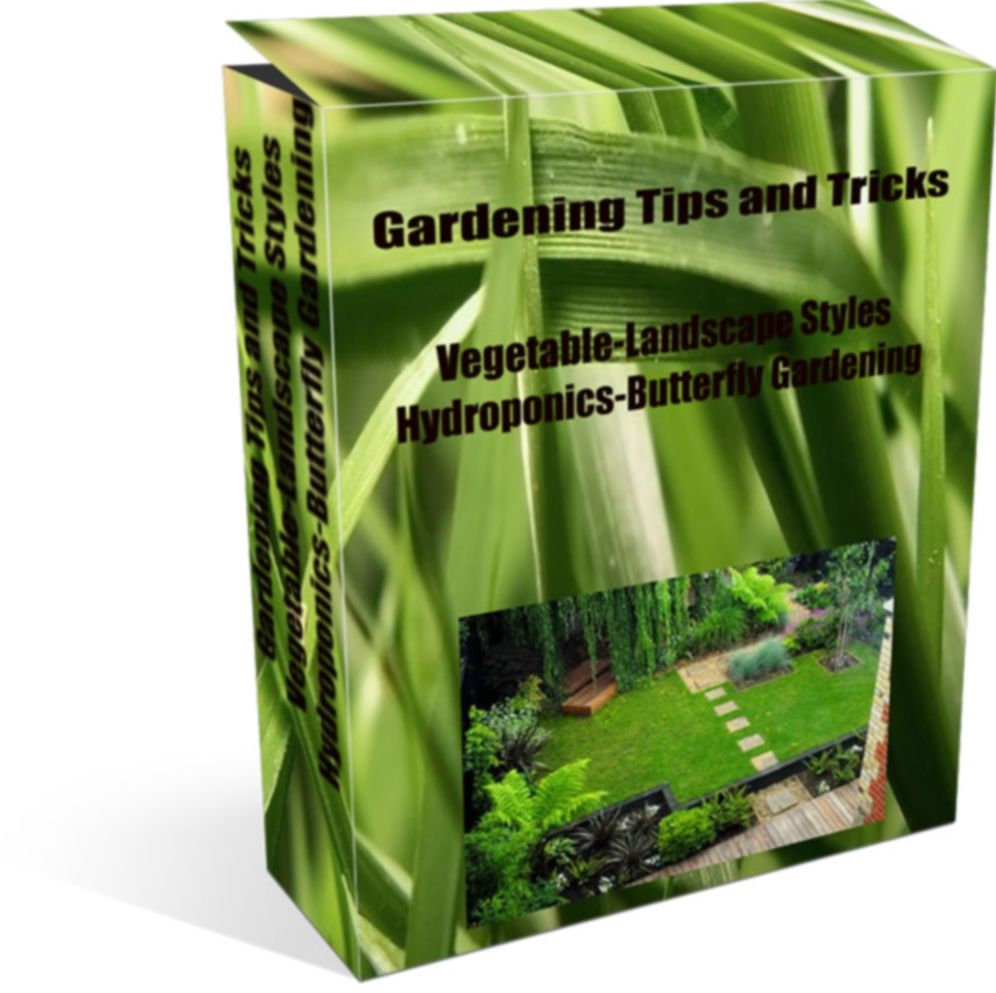 Gardening Tips and Tricks Vegetable-Landscape Styles Hydroponics-Butterfly Gardening