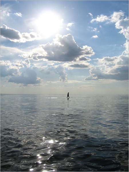 Man on the Ocean [Illustrated]