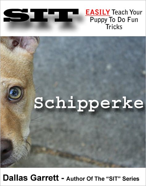 How To Train Your Schipperke To Do Fun Tricks
