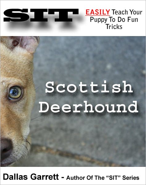 How To Train Your Scottish Deerhound To Do Fun Tricks
