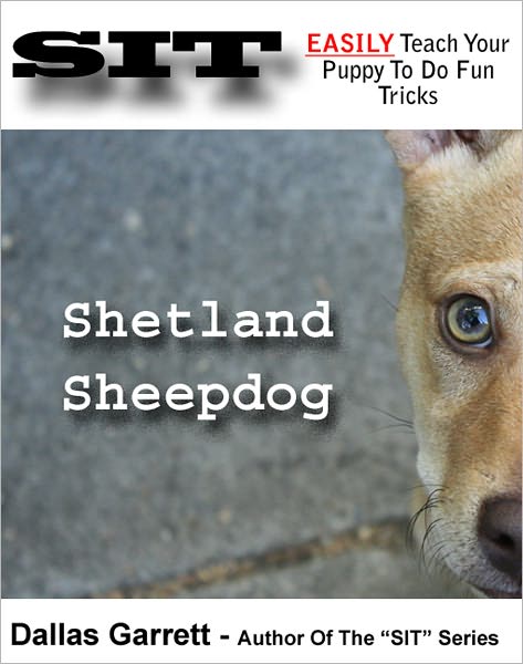 How To Train Your Shetland Sheepdog To Do Fun Tricks