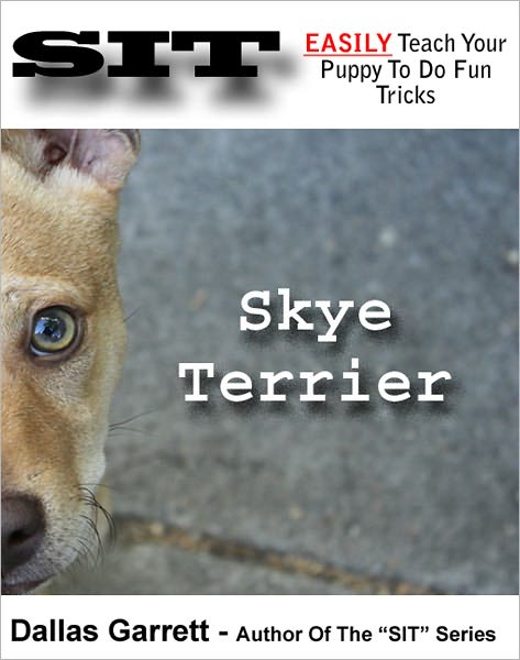 How To Train Your Skye Terrier To Do Fun Tricks