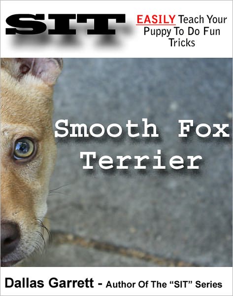 How To Train Your Smooth Fox Terrier To Do Fun Tricks