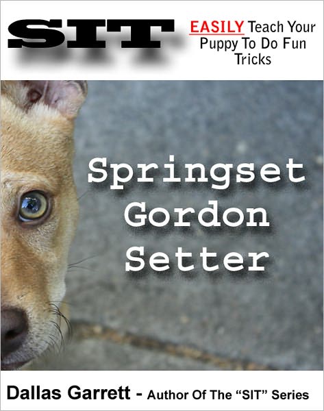 How To Train Your Springset Gordon Setter To Do Fun Tricks