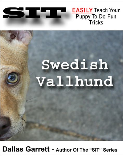 How To Train Your Swedish Vallhund To Do Fun Tricks