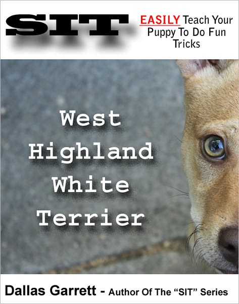 How To Train Your West Highland White Terrier To Do Fun Tricks