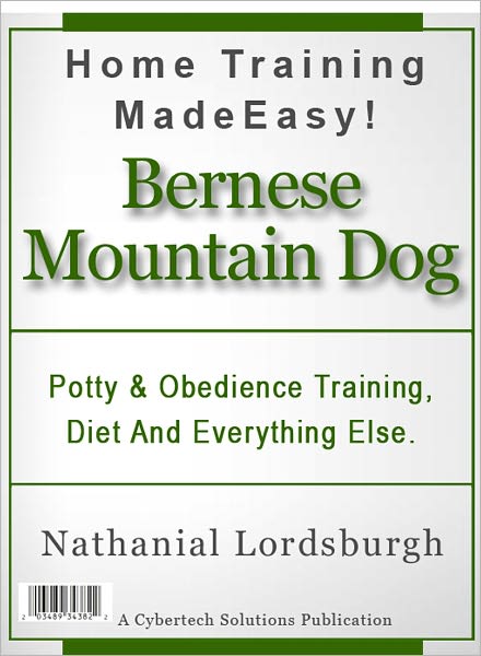 Potty And Obedience Training, Diet And Everything Else For Your Bernese Mountain Dog