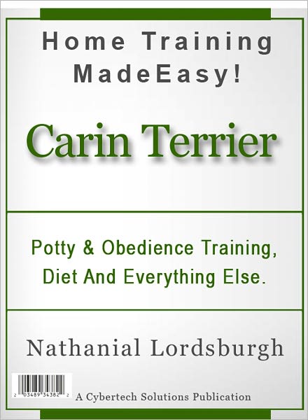 Potty And Obedience Training, Diet And Everything Else For Your Cairn Terrier