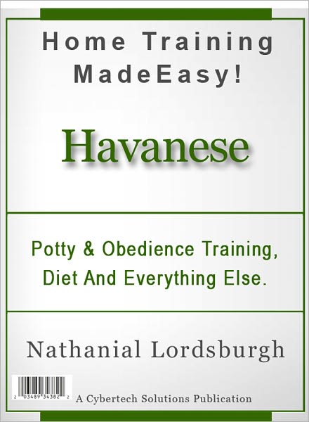 Potty And Obedience Training, Diet And Everything Else For Your Havanese