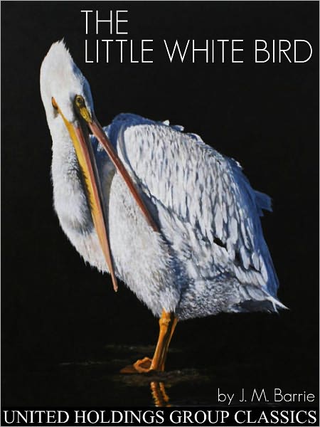 The Little White Bird