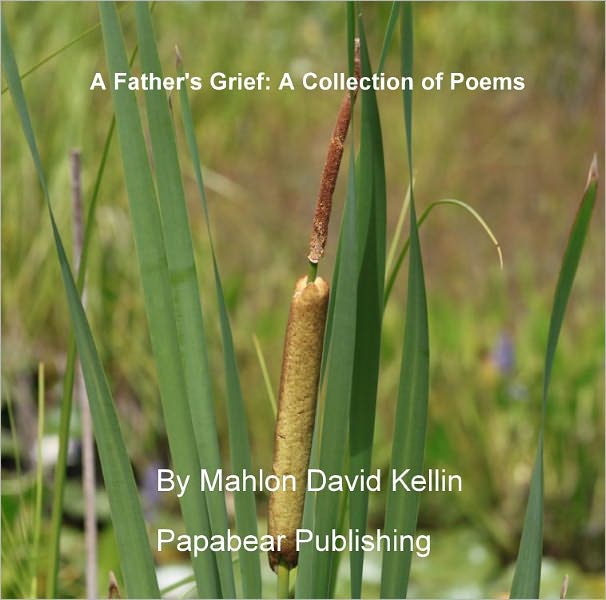 A Father's Grief: A Collection of Poems
