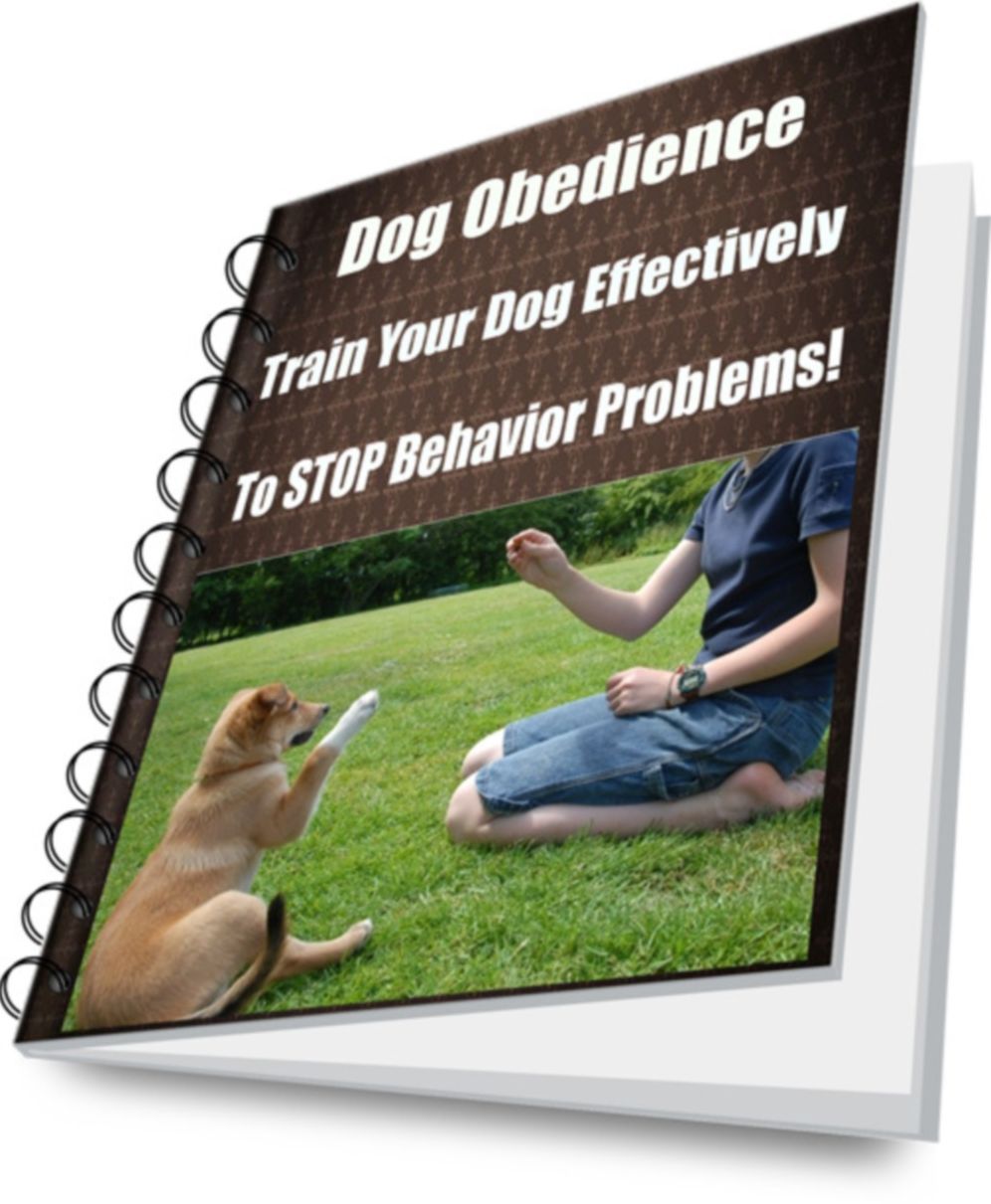 Dog Obedience Train Your Dog Effectively to STOP Behavior Problems!