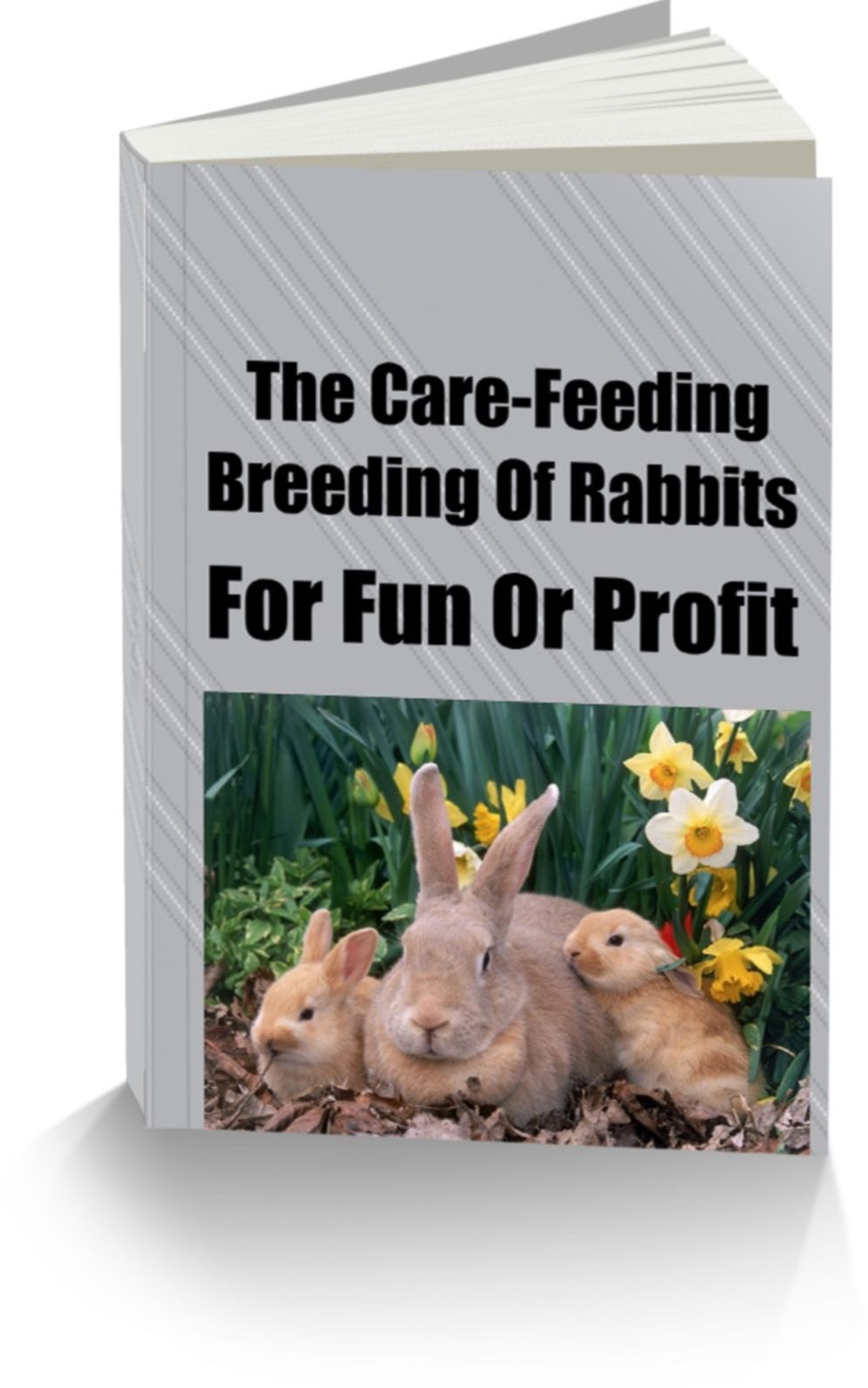 The Care-Feeding-Breeding Of Rabbits-For Fun Or Profit