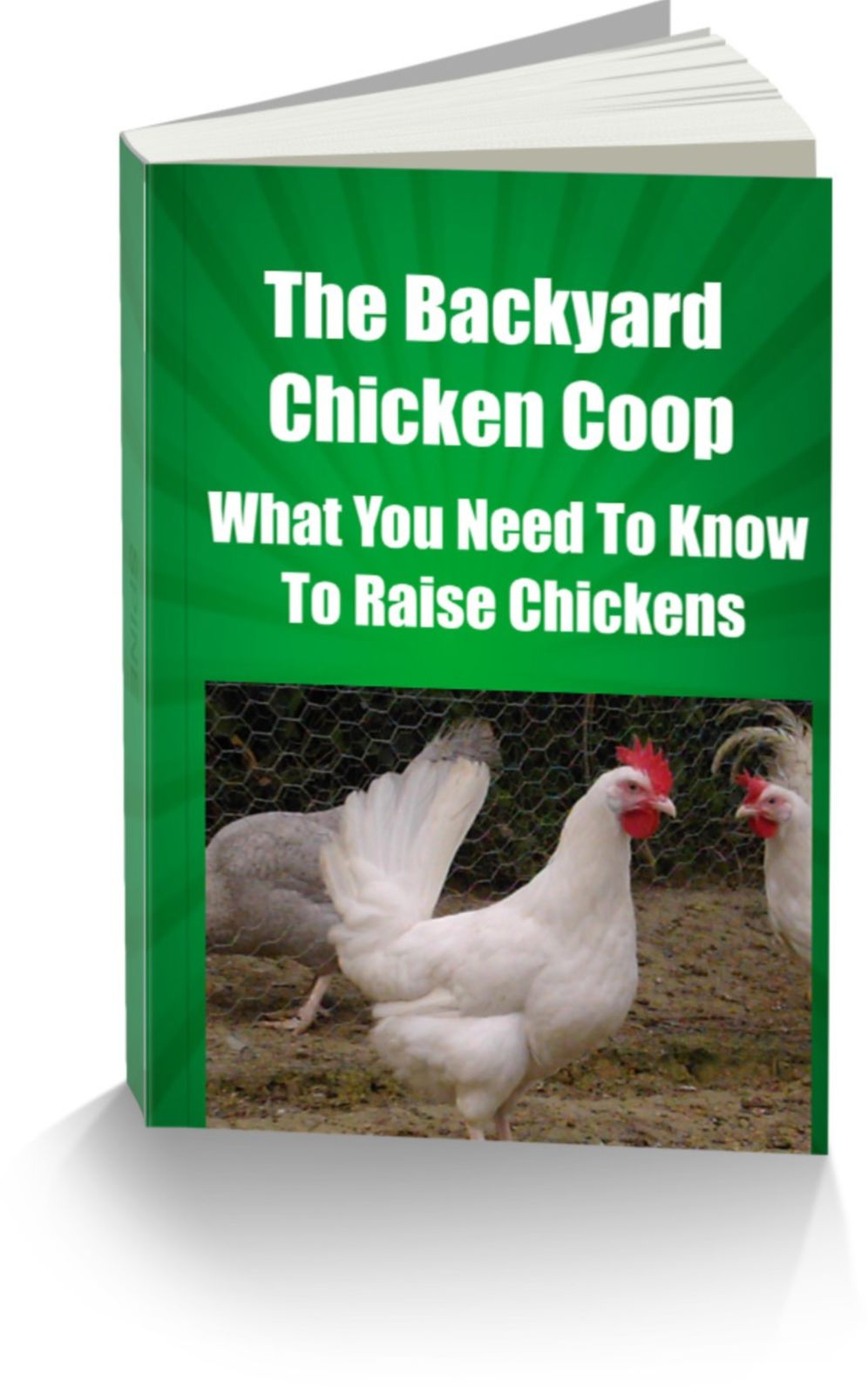 The Backyard Chicken Coop-What You Need To Know To Raise Chickens