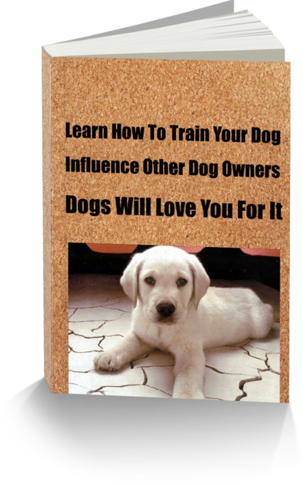 Learn How To Train Your Dog-Influence Other Dog Owners-Dogs Will Love You For It