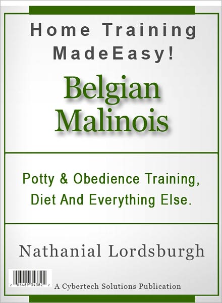 Potty And Obedience Training, Diet And Everything Else For Your Belgian Malinois