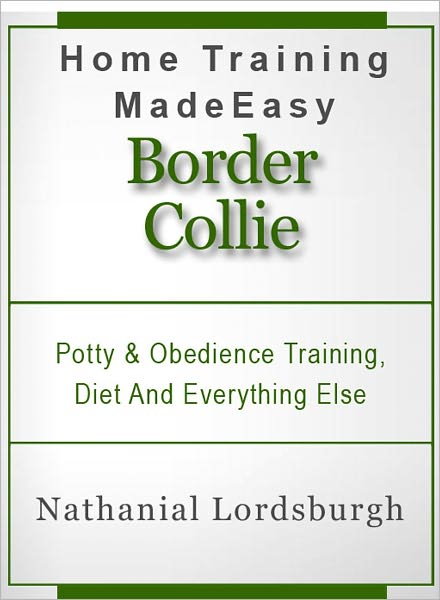 Potty And Obedience Training, Diet And Everything Else For Your Border Collie