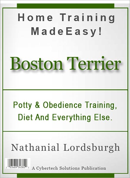 Potty And Obedience Training, Diet And Everything Else For Your Boston Terrier