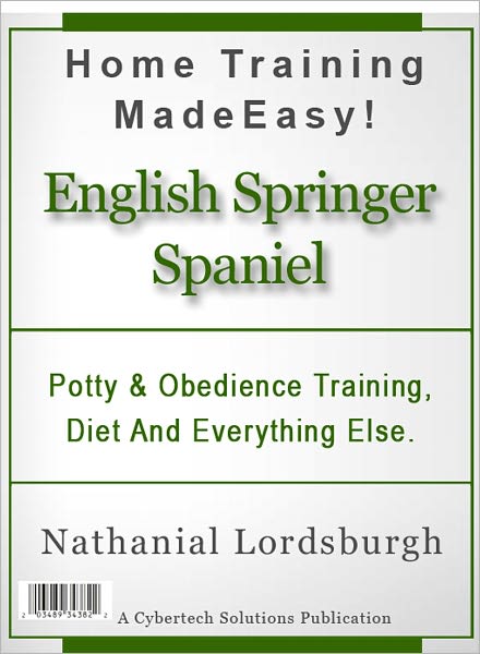 Potty And Obedience Training, Diet And Everything Else For Your English Springer Spaniel