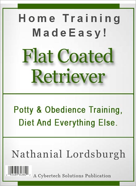 Potty And Obedience Training, Diet And Everything Else For Your Flat Coated Retriever
